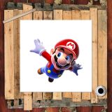 HD Canvas Print Home Decor Paintings Wall Art Pictures-SR125016
