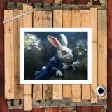 HD Canvas Print Home Decor Paintings Wall Art Pictures-SR103036