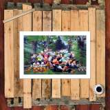 HD Canvas Print Home Decor Paintings Wall Art Pictures-SR-10021