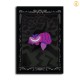 HD Canvas Print Home Decor Paintings Wall Art Pictures-SR103109