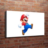 HD Canvas Print Home Decor Paintings Wall Art Pictures-SR125355