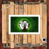 HD Canvas Print Home Decor Paintings Wall Art Pictures-SR103084