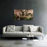 HD Canvas Print Home Decor Paintings Wall Art Pictures-SR102949