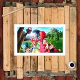 HD Canvas Print Home Decor Paintings Wall Art Pictures-SR103056