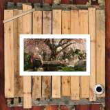 HD Canvas Print Home Decor Paintings Wall Art Pictures-SR102949
