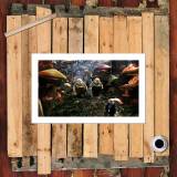 HD Canvas Print Home Decor Paintings Wall Art Pictures-SR103127