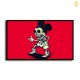 HD Canvas Print Home Decor Paintings Wall Art Pictures-SR104629