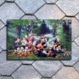 HD Canvas Print Home Decor Paintings Wall Art Pictures-SR-10021
