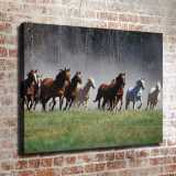 HD Canvas Print Home Decor Paintings Wall Art Pictures-SR-20061