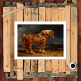 HD Canvas Print Home Decor Paintings Wall Art Pictures-SR--0340