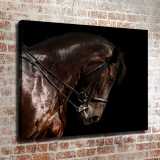 HD Canvas Print Home Decor Paintings Wall Art Pictures-SR--0344
