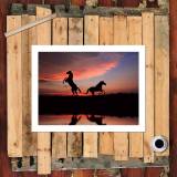 HD Canvas Print Home Decor Paintings Wall Art Pictures-SR-20022