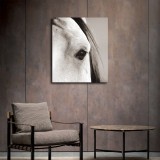 HD Canvas Print Home Decor Paintings Wall Art Pictures-SR--0145