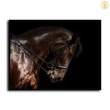 HD Canvas Print Home Decor Paintings Wall Art Pictures-SR--0344