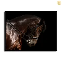 HD Canvas Print Home Decor Paintings Wall Art Pictures-SR--0344