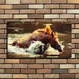HD Canvas Print Home Decor Paintings Wall Art Pictures-SR--0347