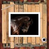 HD Canvas Print Home Decor Paintings Wall Art Pictures-SR--0344