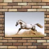 HD Canvas Print Home Decor Paintings Wall Art Pictures-SR--0350