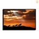 HD Canvas Print Home Decor Paintings Wall Art Pictures-SR--0343