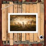 HD Canvas Print Home Decor Paintings Wall Art Pictures-SR100407