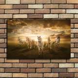 HD Canvas Print Home Decor Paintings Wall Art Pictures-SR100407