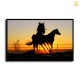 HD Canvas Print Home Decor Paintings Wall Art Pictures-SR--0161