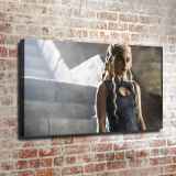HD Canvas Print Home Decor Paintings Wall Art Pictures-SR100503