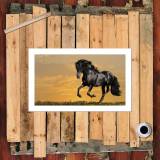 HD Canvas Print Home Decor Paintings Wall Art Pictures-SR--0135