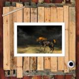 HD Canvas Print Home Decor Paintings Wall Art Pictures-SR-20017