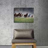 HD Canvas Print Home Decor Paintings Wall Art Pictures-SR-20061