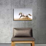 HD Canvas Print Home Decor Paintings Wall Art Pictures-SR--0350
