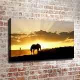 HD Canvas Print Home Decor Paintings Wall Art Pictures-SR--0165