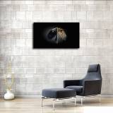 HD Canvas Print Home Decor Paintings Wall Art Pictures-SR105574