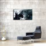 HD Canvas Print Home Decor Paintings Wall Art Pictures-SR101032