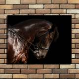 HD Canvas Print Home Decor Paintings Wall Art Pictures-SR--0344