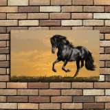 HD Canvas Print Home Decor Paintings Wall Art Pictures-SR--0135