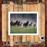 HD Canvas Print Home Decor Paintings Wall Art Pictures-SR-20061