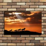 HD Canvas Print Home Decor Paintings Wall Art Pictures-SR--0343