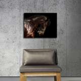 HD Canvas Print Home Decor Paintings Wall Art Pictures-SR--0344