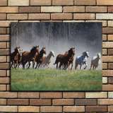 HD Canvas Print Home Decor Paintings Wall Art Pictures-SR-20061