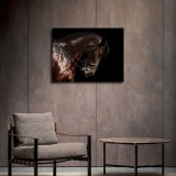 HD Canvas Print Home Decor Paintings Wall Art Pictures-SR--0344