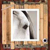 HD Canvas Print Home Decor Paintings Wall Art Pictures-SR--0145
