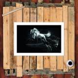 HD Canvas Print Home Decor Paintings Wall Art Pictures-SR-20032