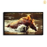HD Canvas Print Home Decor Paintings Wall Art Pictures-SR--0347