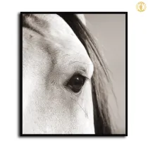 HD Canvas Print Home Decor Paintings Wall Art Pictures-SR--0145
