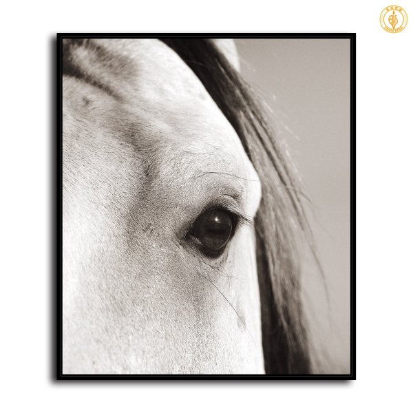 HD Canvas Print Home Decor Paintings Wall Art Pictures-SR--0145