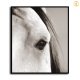 HD Canvas Print Home Decor Paintings Wall Art Pictures-SR--0145