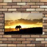 HD Canvas Print Home Decor Paintings Wall Art Pictures-SR--0165