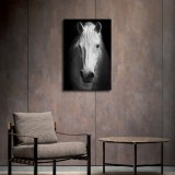 HD Canvas Print Home Decor Paintings Wall Art Pictures-SR119273