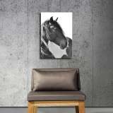 HD Canvas Print Home Decor Paintings Wall Art Pictures-SR110100
